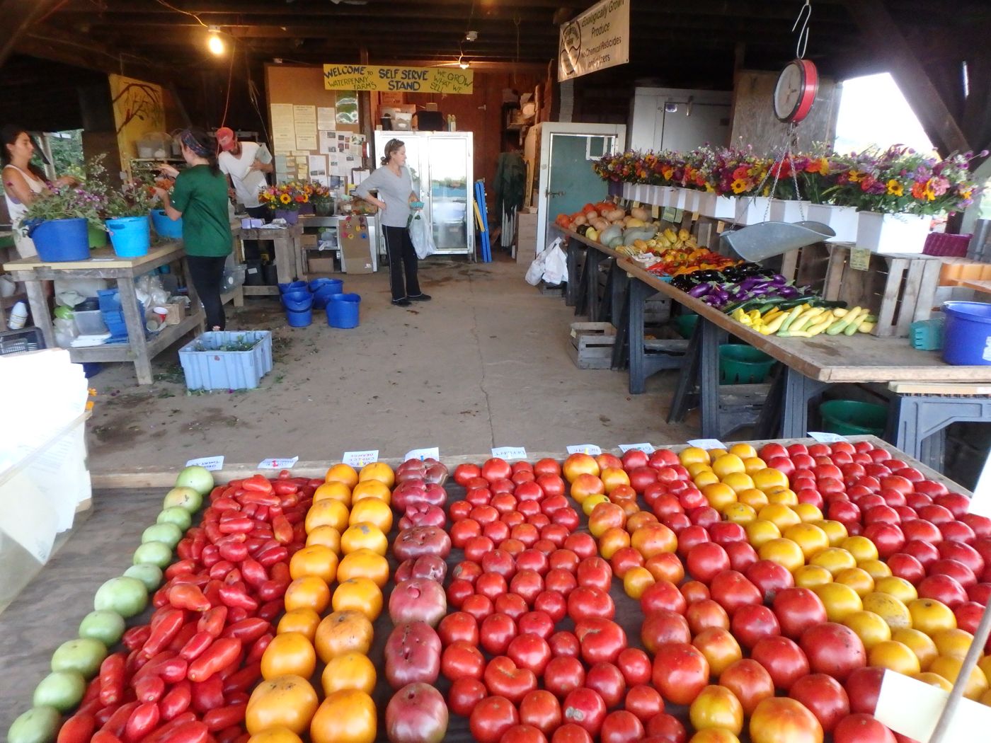 Harvest in the barn