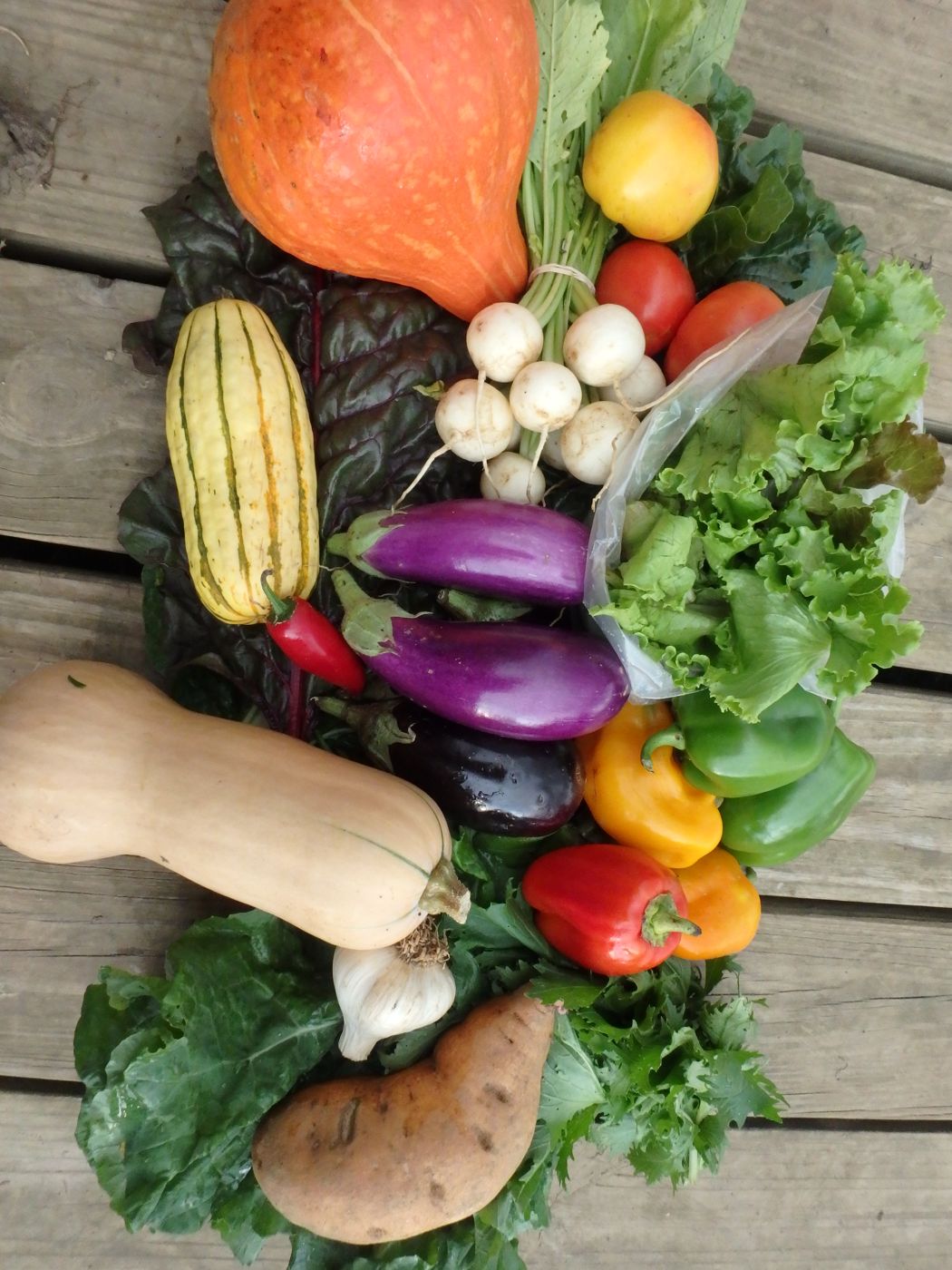 Fall harvest