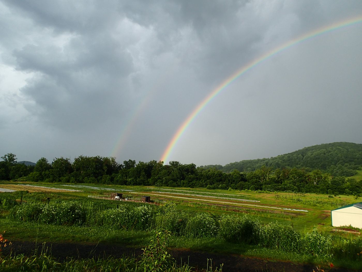 Rainbow over the fields