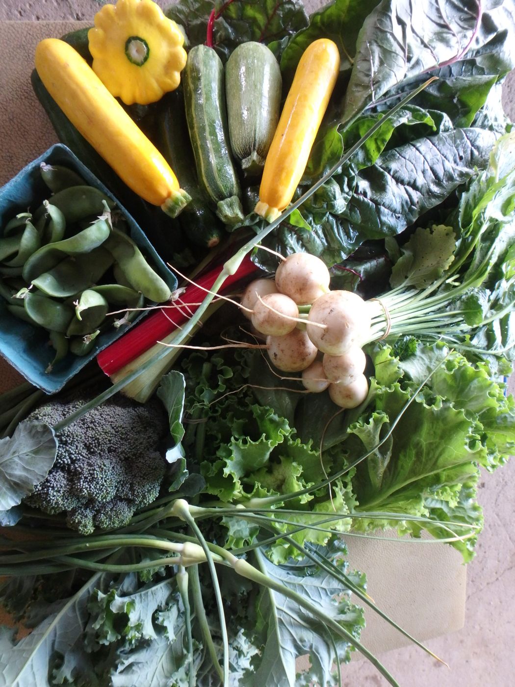 A weekly CSA share of fresh vegetables